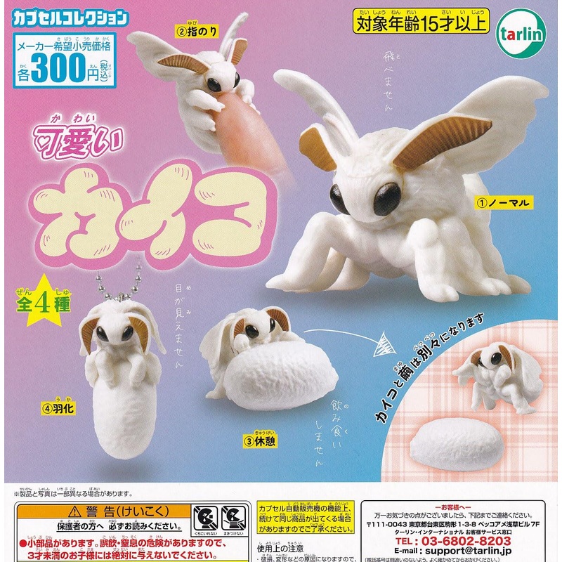 Kawaii Silk Moth