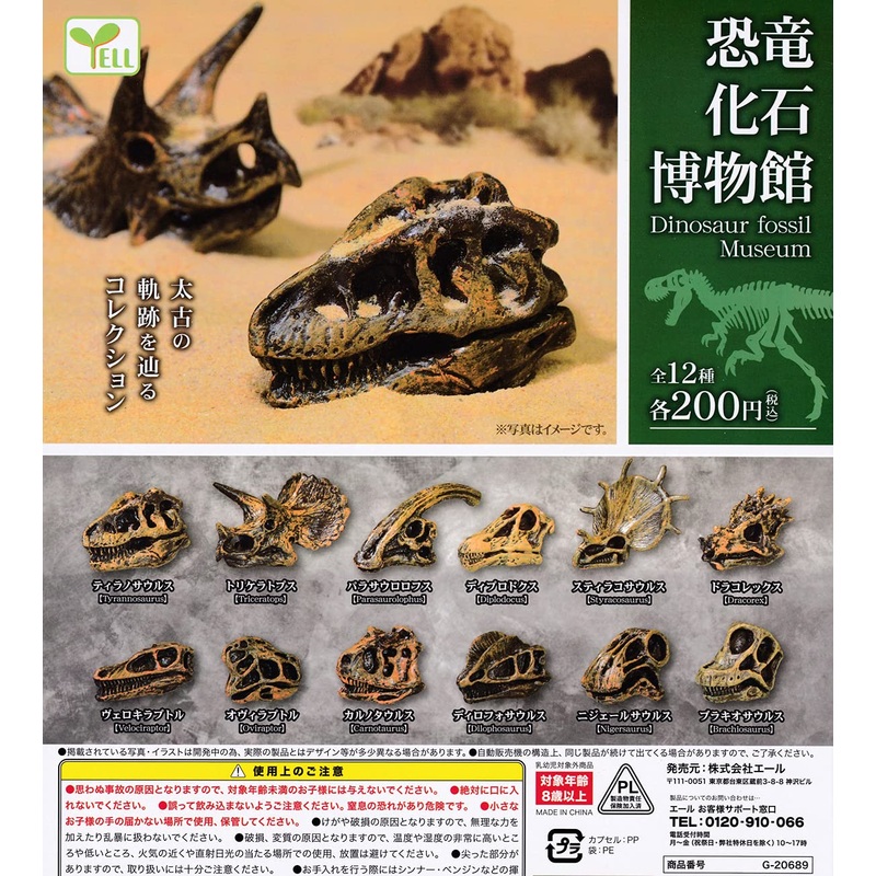 Dinosaur Fossil Museum