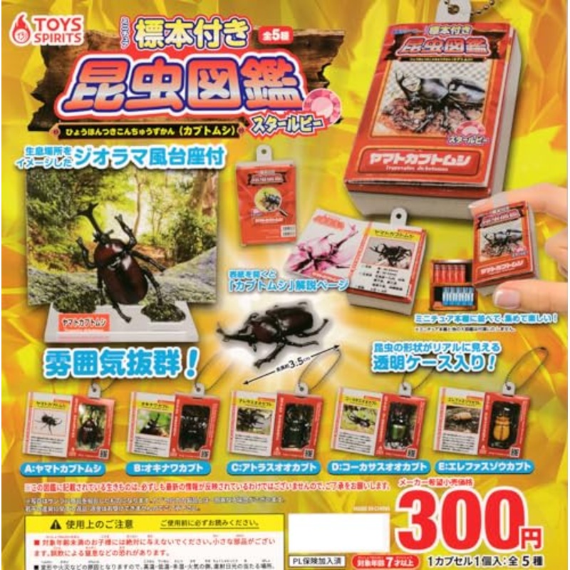 Insect Encyclopedia Mascot with Miniature Specimen Beetle Star Ruby